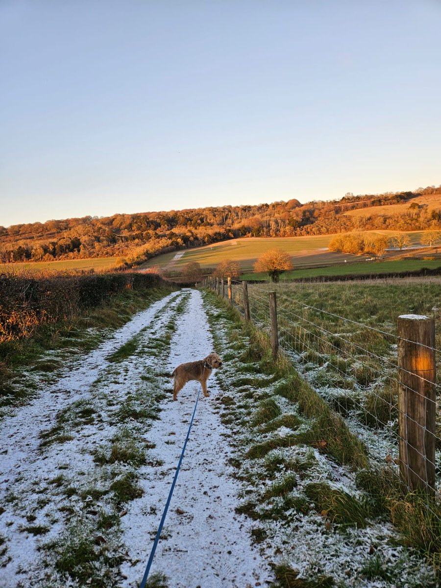 Cobbetts beers tweet media