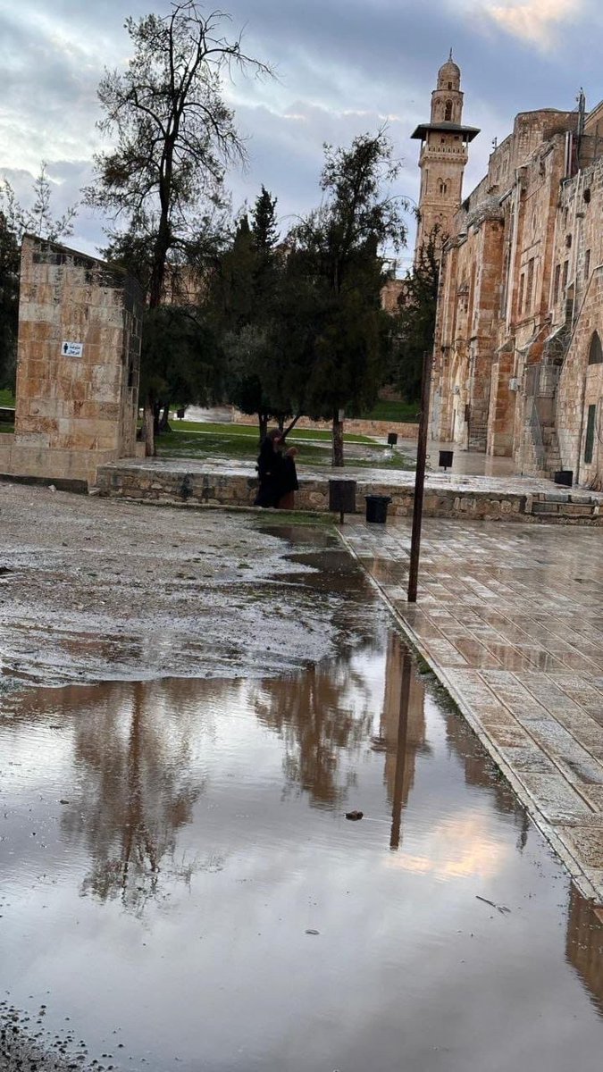 return_ar's tweet image. أجواء المطر في المسجد الأقصى 🇵🇸

Rainy atmosphere at Al-Aqsa Mosque 🇵🇸