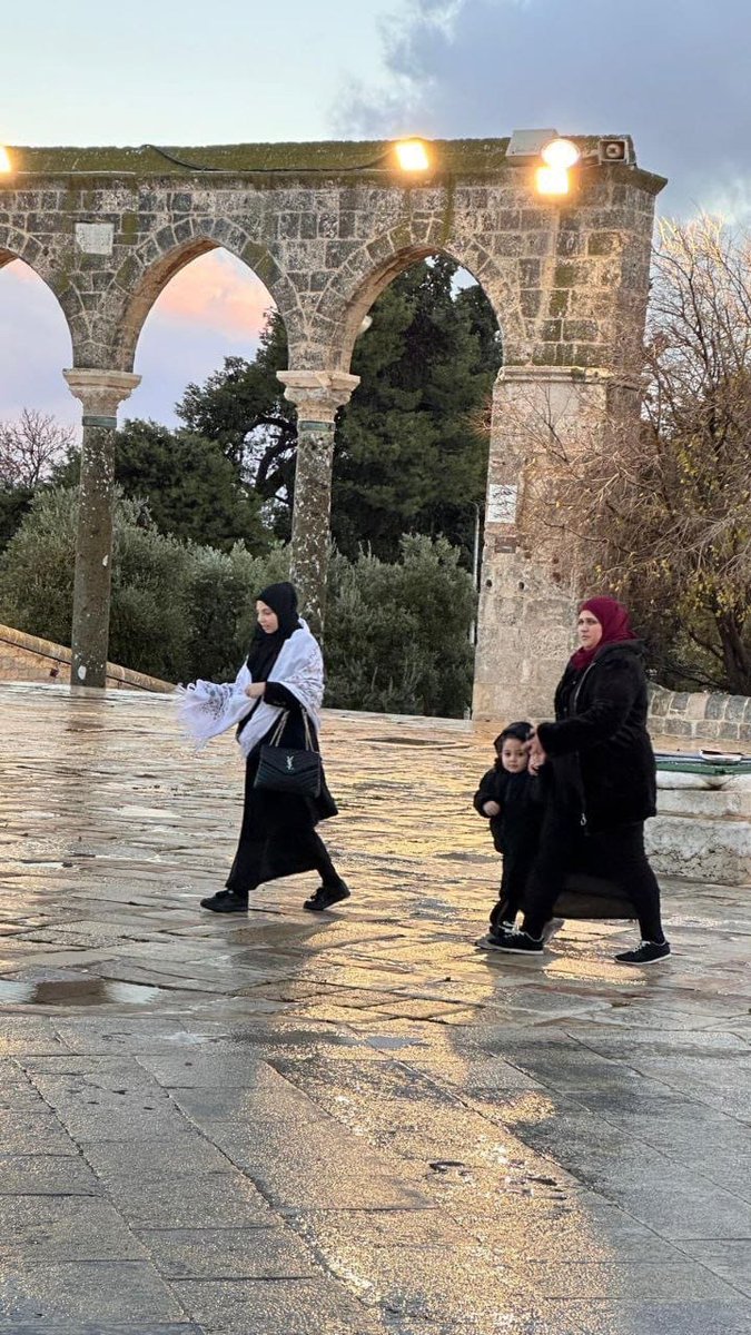 return_ar's tweet image. أجواء المطر في المسجد الأقصى 🇵🇸

Rainy atmosphere at Al-Aqsa Mosque 🇵🇸