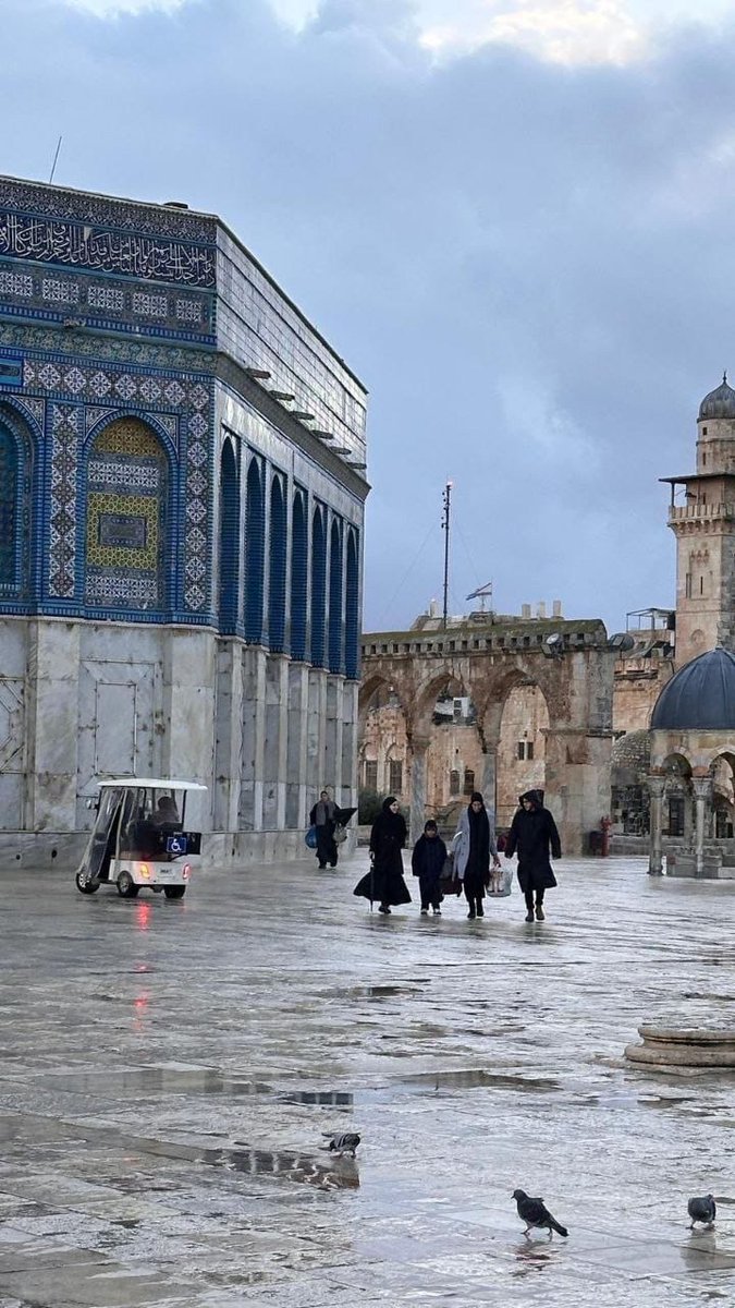 return_ar's tweet image. أجواء المطر في المسجد الأقصى 🇵🇸

Rainy atmosphere at Al-Aqsa Mosque 🇵🇸