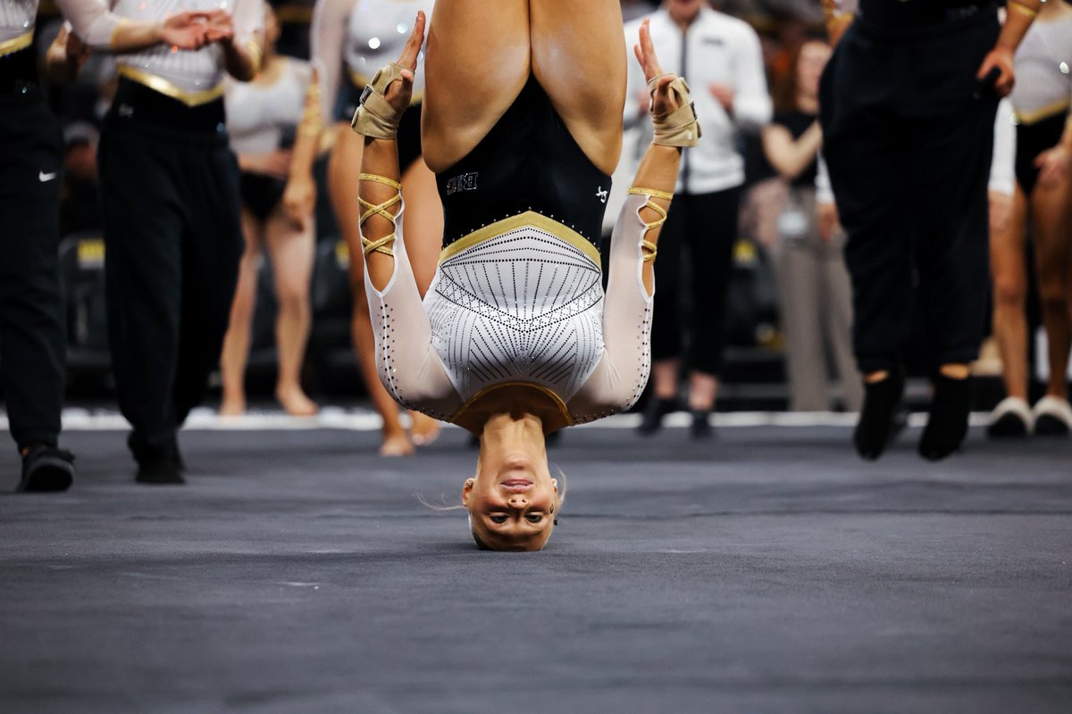 Iowa Gymnastics tweet media