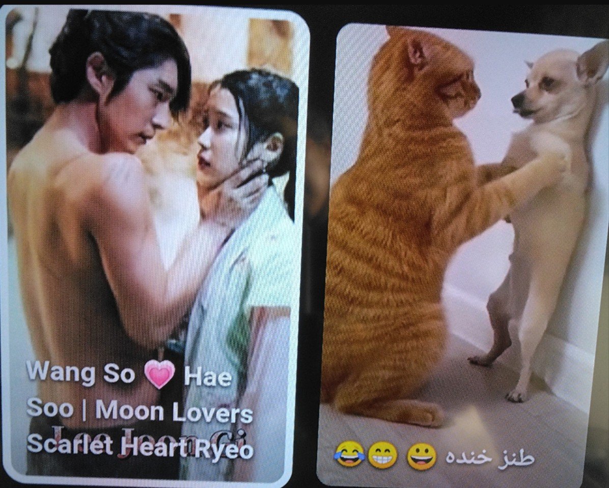 朝...YouTube...開いたら...隣が...これだった🤭😅😂😂😂