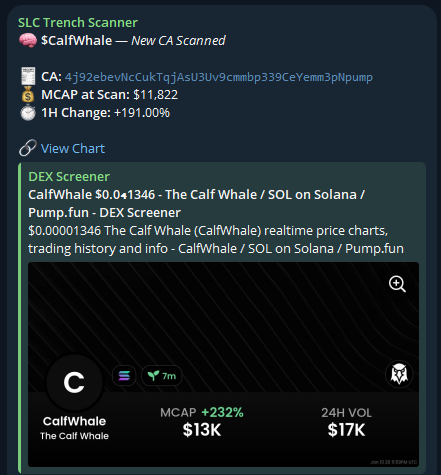 scanner_SLC's tweet photo. $CalfWhale ran 175%+ after SLC's Trench Scanner alert!

4j92ebevNcCukTqjAsU3Uv9cmmbp339CeYemm3pNpump
____
Interested in the SLC Trench Scanner? DM “Access” to @scanner_SLC
—
Interested in the SLC Black Ledger Discord? Apply at https://t.co/AfPL8OVfsO
—— https://t.co/vL4Fs714ab