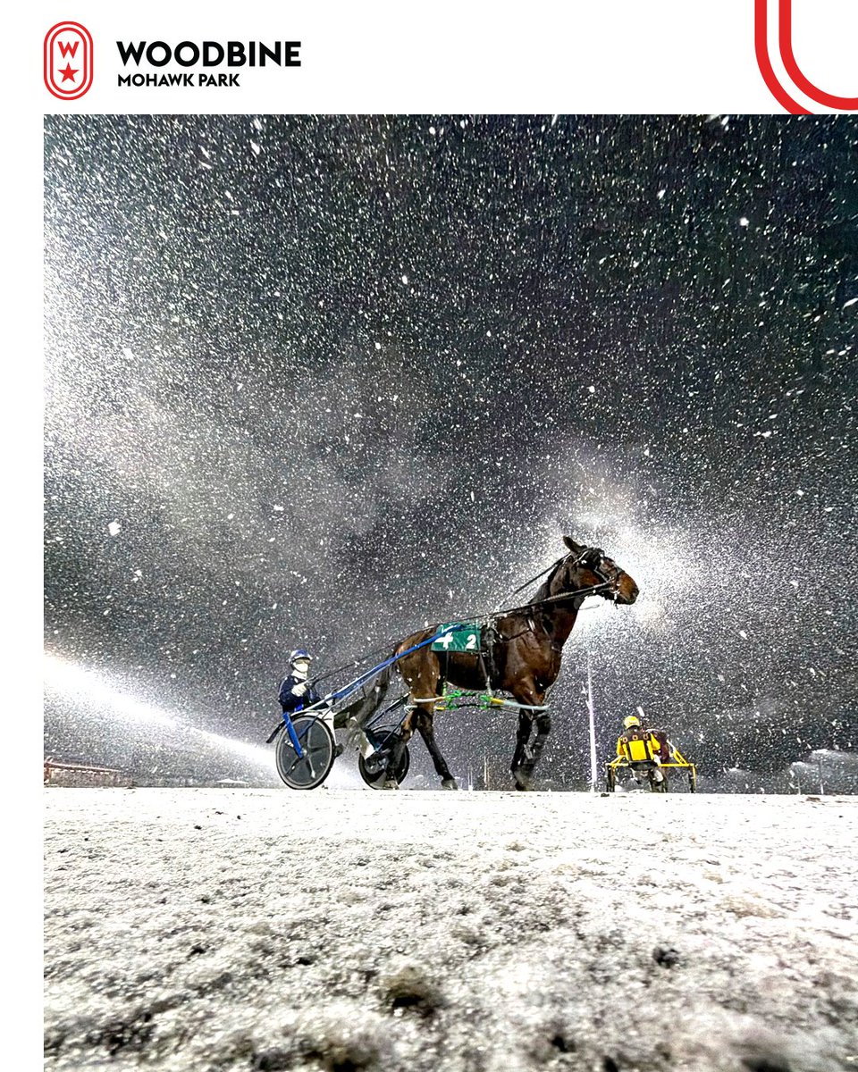 Woodbine Mohawk Park tweet media