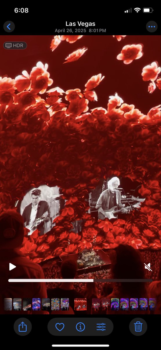 LDavis_Sports's tweet photo. RIP Bob Weir.  Thank You for all the great music and memories! ⚡️🌹 https://t.co/dd9rBIpho1