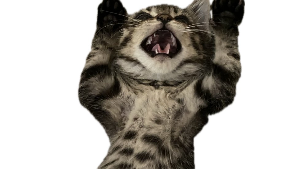 iewori's tweet image. ツイートをタップすると日曜日が終わります