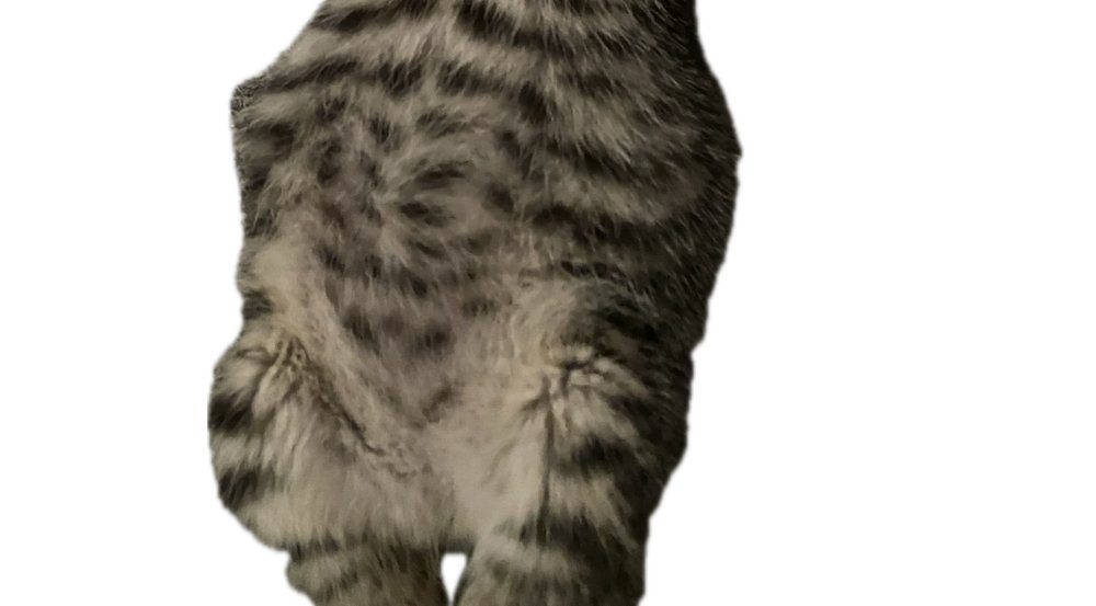 iewori's tweet image. ツイートをタップすると日曜日が終わります