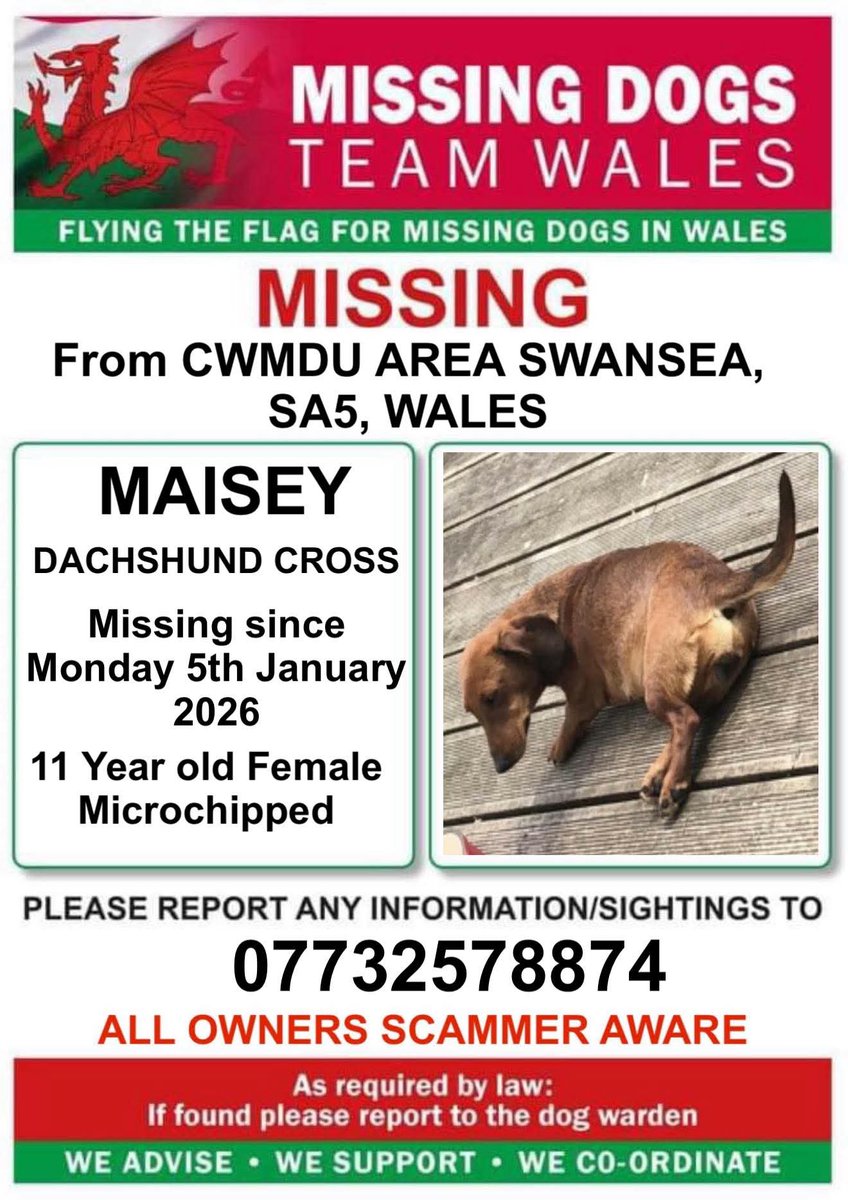 juliagarland73's tweet photo. #MISSING #Lostdog #MISSING f4m #Cwmdu area #Swansea #SA5 #Wales #TeamWales 🇬🇧🇬🇧🇬🇧 @SwanseaOnline10 @swansea_indy #Maisey she is 11 yrs old 😔 https://t.co/0f3TFaYvtO https://t.co/7uRGUGNNAJ