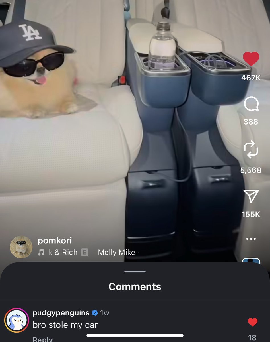 <a href="/pudgypenguins/">Pudgy Penguins</a> You remind me of <a href="/pomkori/">kori</a>