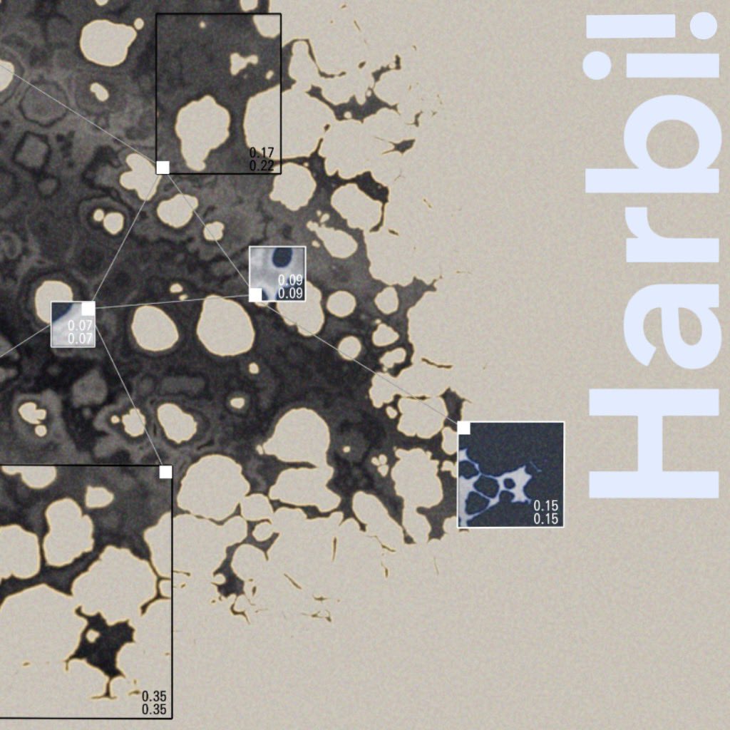 【 RELEASE！】

Harbi!
デジタルシングル
「 Undergrowth 」リリース！

只今配信開始！

#Harbii 
#Undergrowth

配信リンクはこちら↓
linkco.re/NQEFMSY1