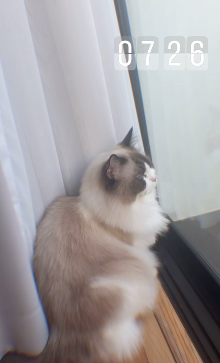 Good morning ☀️🥰

IG : bright 

#Amemeow
#bbrightvc