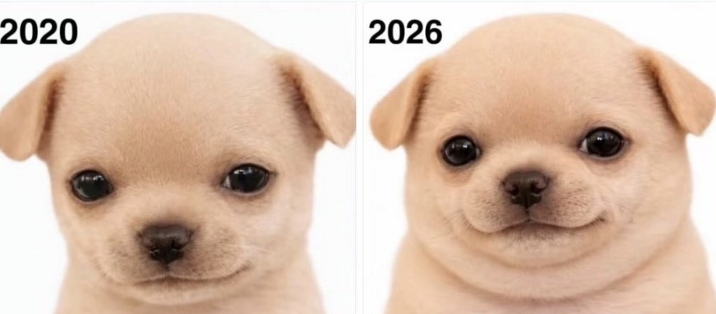 secondhandfart's tweet image. 