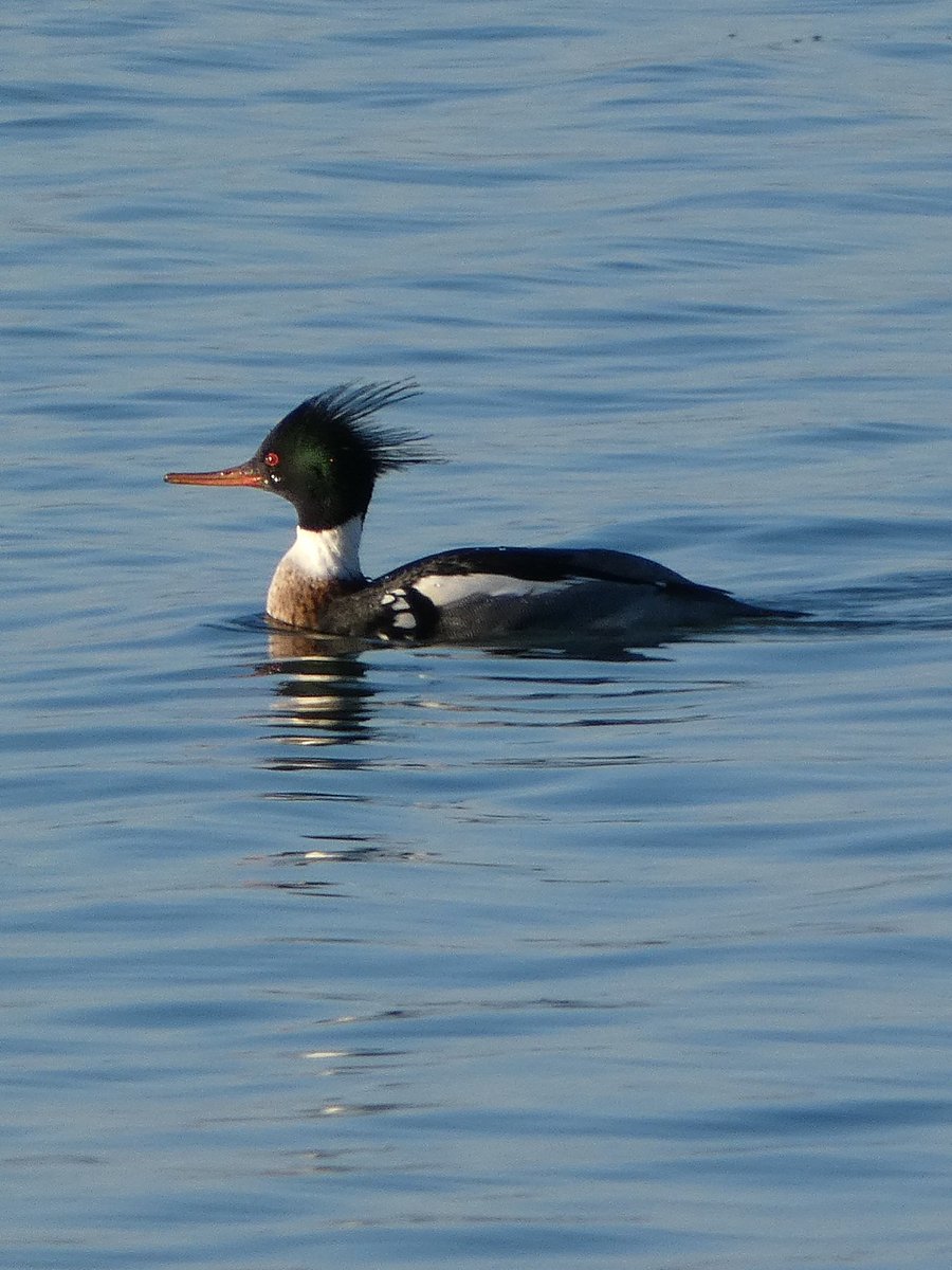 johnjayf's tweet image. 