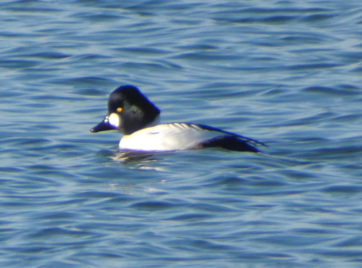 johnjayf's tweet image. 