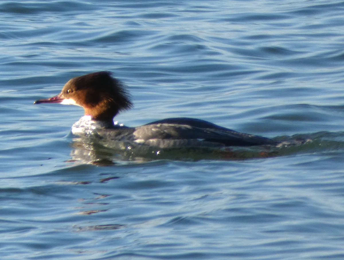 johnjayf's tweet image. 