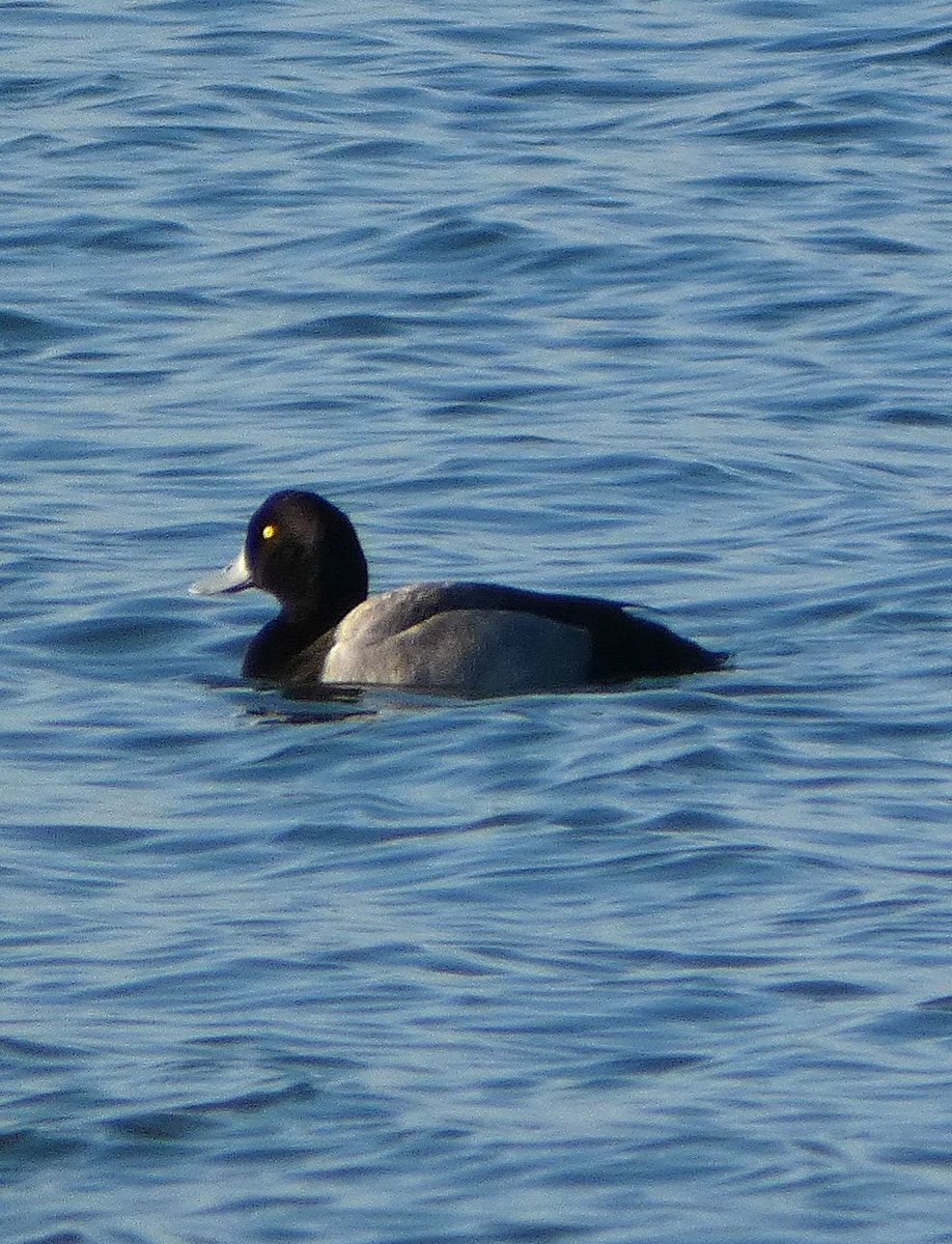 johnjayf's tweet image. 