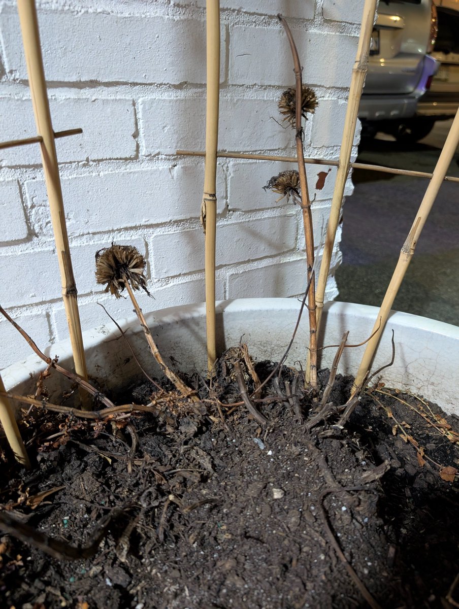 I tried so hard and got so far
But in the end, it doesn't even matter
I had to fall to lose it all