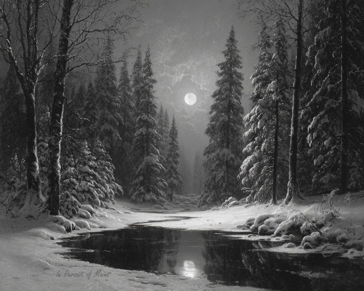 Rest comfortably knowing there is a reason for everything, including you. ♥️ Sweet Dreams.