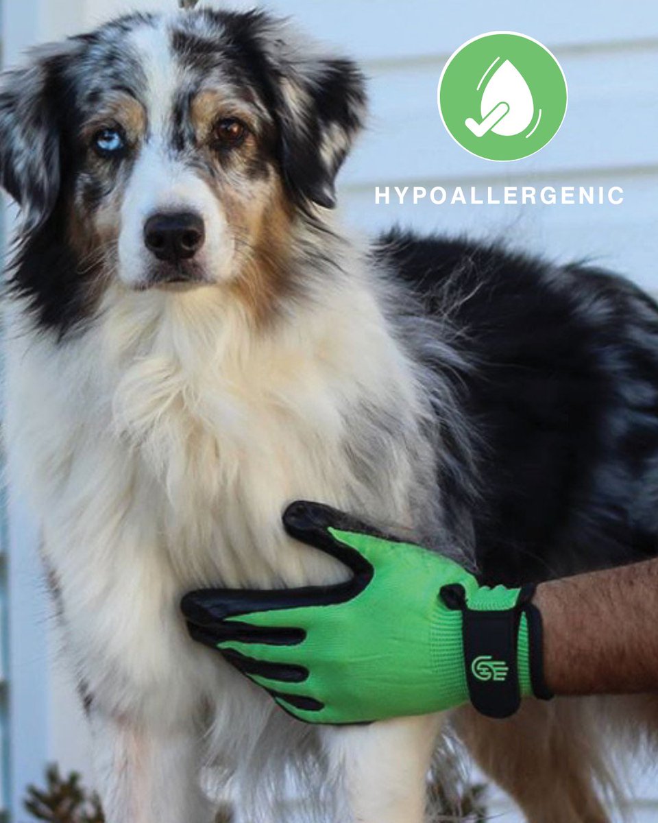 Winter doesn’t mean #allergyseason is over. With windows closed and #pets spending more time indoors, pet dander can build up fast. HandsOn Pet #Grooming Gloves are hypoallergenic, making them a gentle, pet-friendly option for managing #shedding and dander. 🐾✨