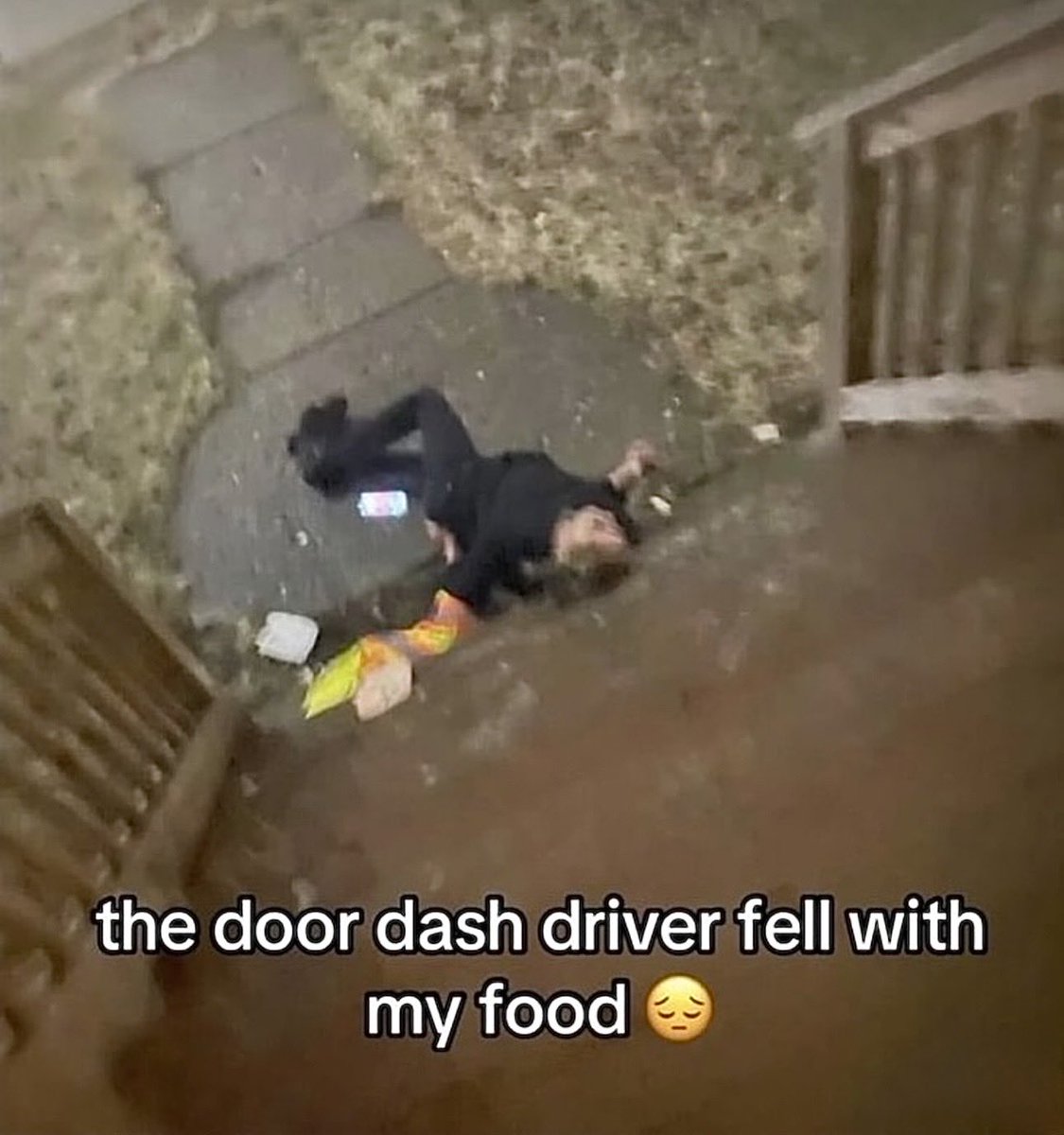 WildSentences's tweet image. 