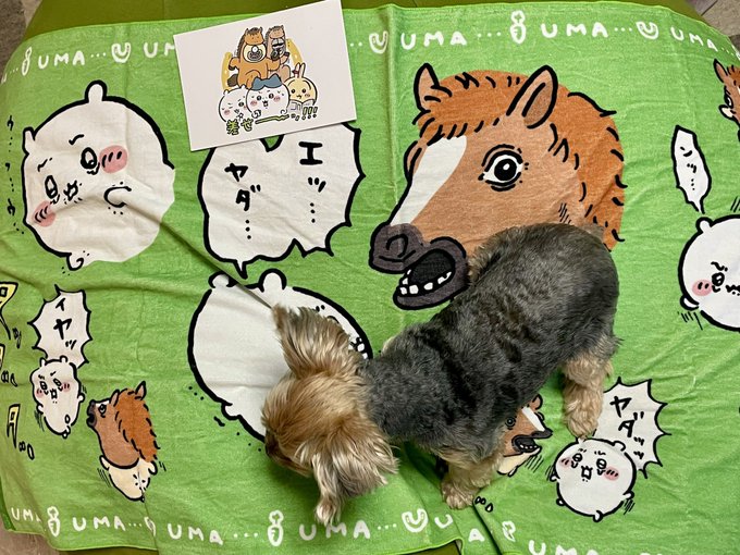 友人から貰った🐴 