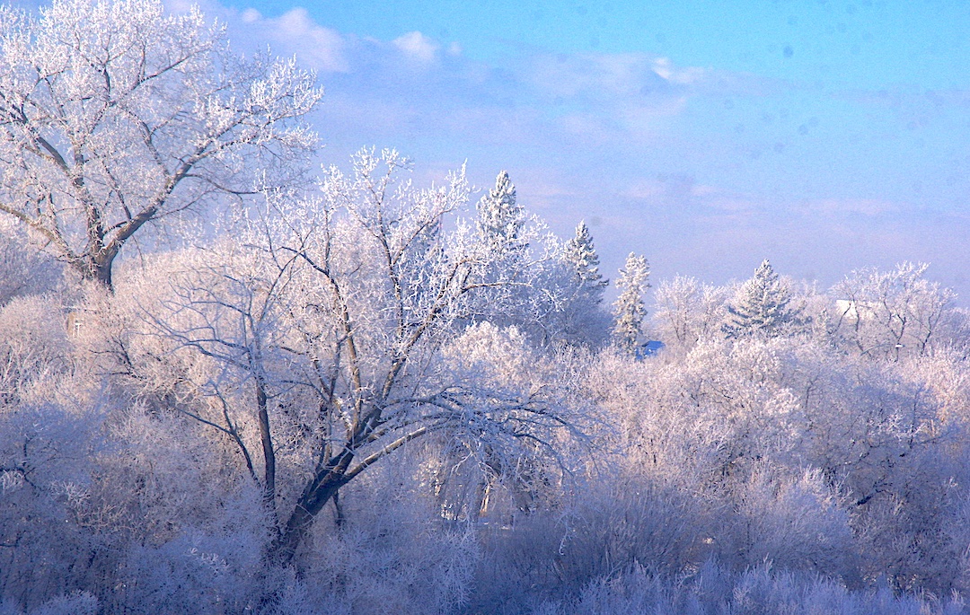 jack9simpson's tweet image. so, here's a few snaps from Winnipeg .. one from Friday and one from August 1987 to honour the 10th anniversary of a David Bowie's death ..
