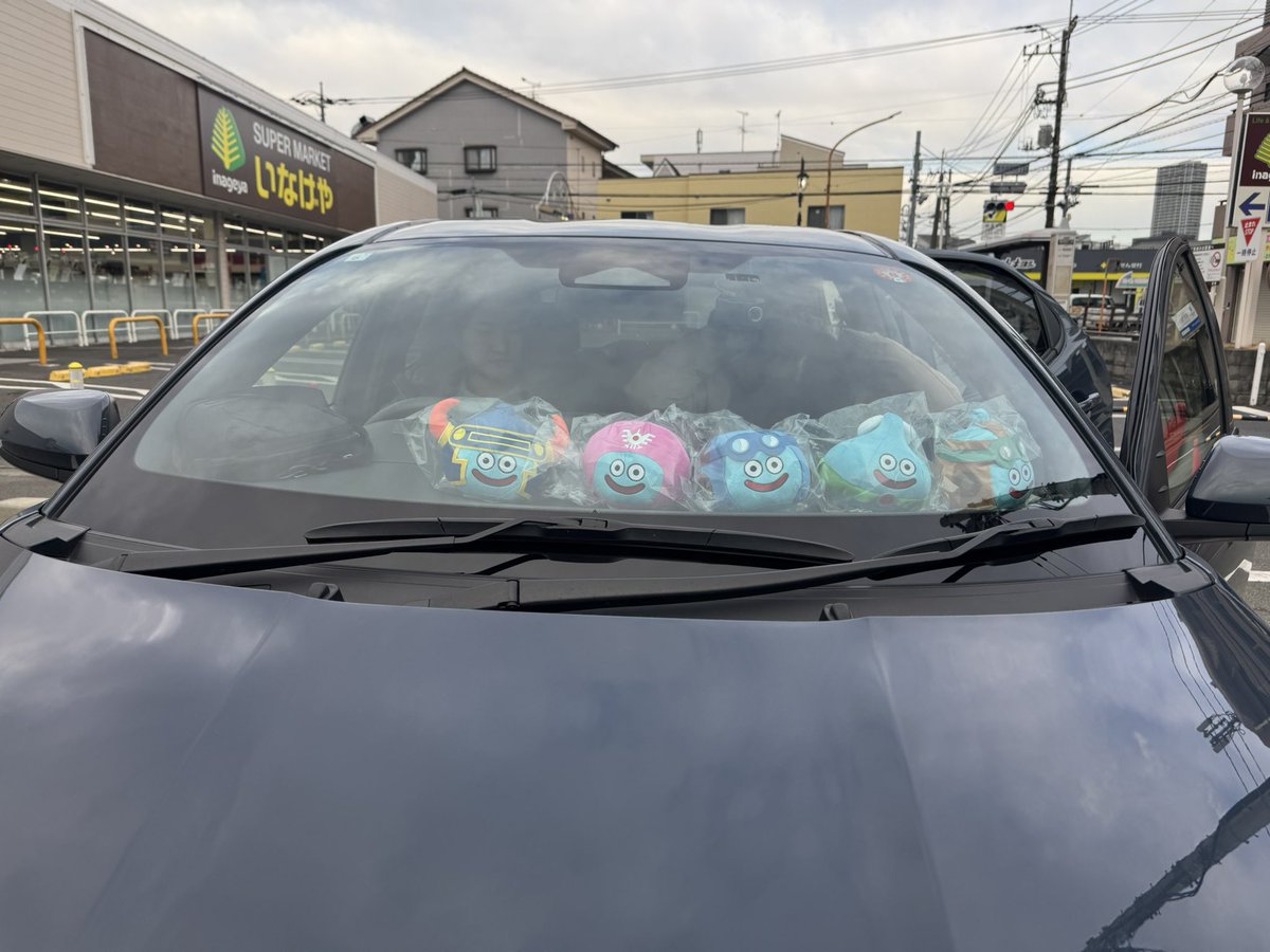 sinodooo's tweet image. こっちをみている