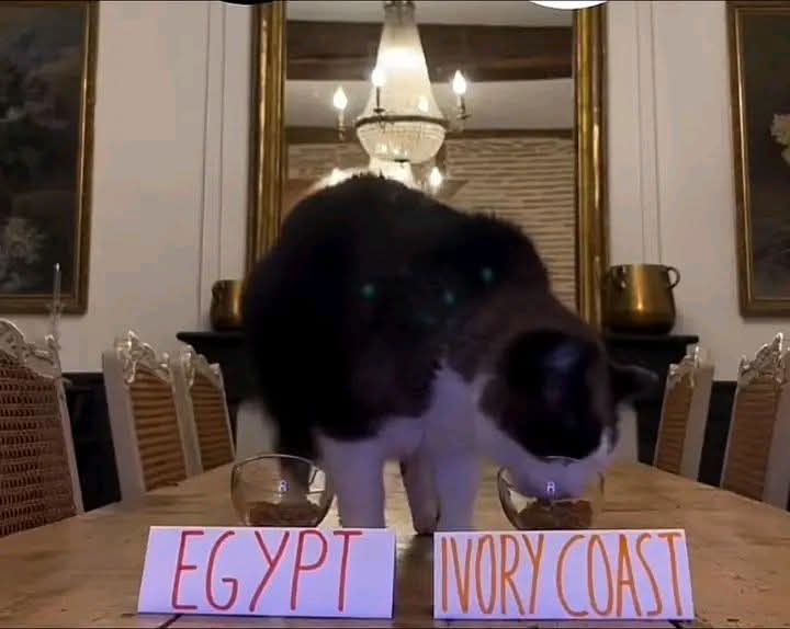 ايه يا ابن المتىاكه جايب ورا ليه دلوقتي