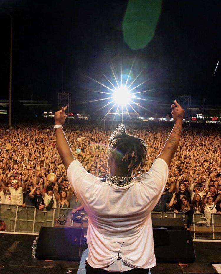 backwoods. tweet media