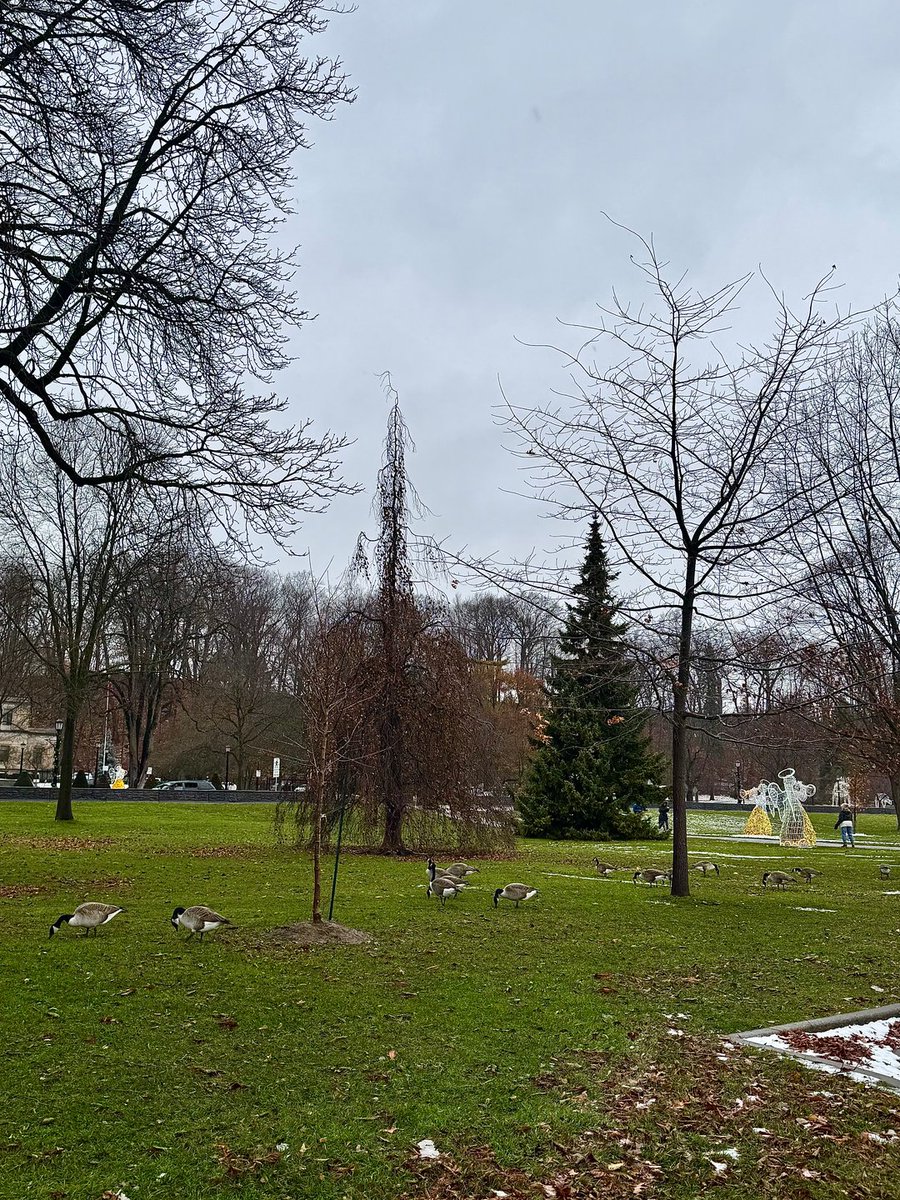 beckandreckdeck's tweet image. Niagara Falls in Winter❄️Experiencing the world amidst rain and snow🌏