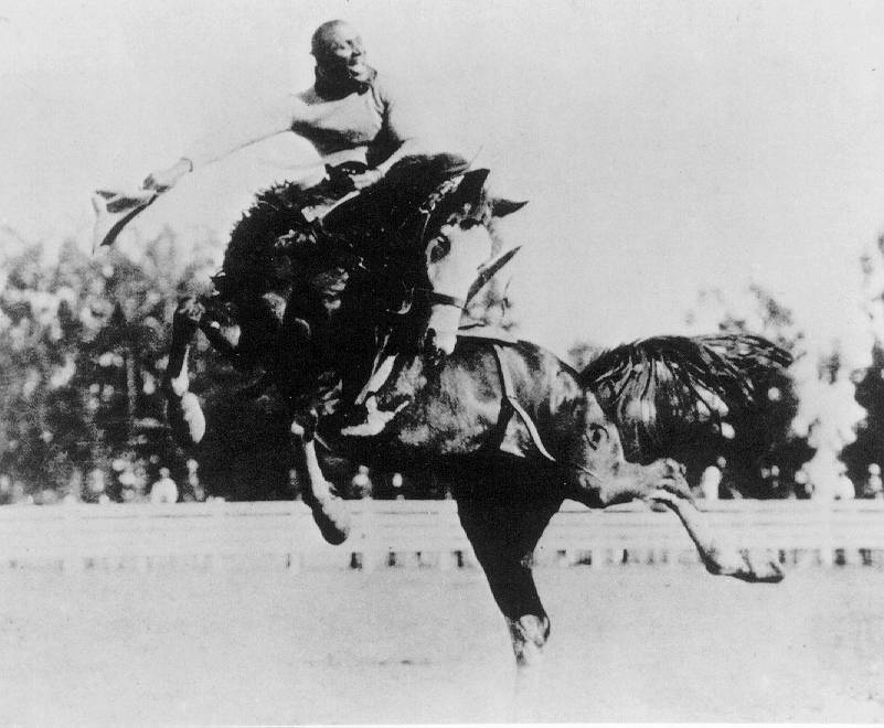 Black Knight Media 🌒 tweet media