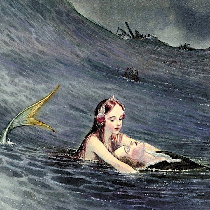 Vibelyra's tweet image. 