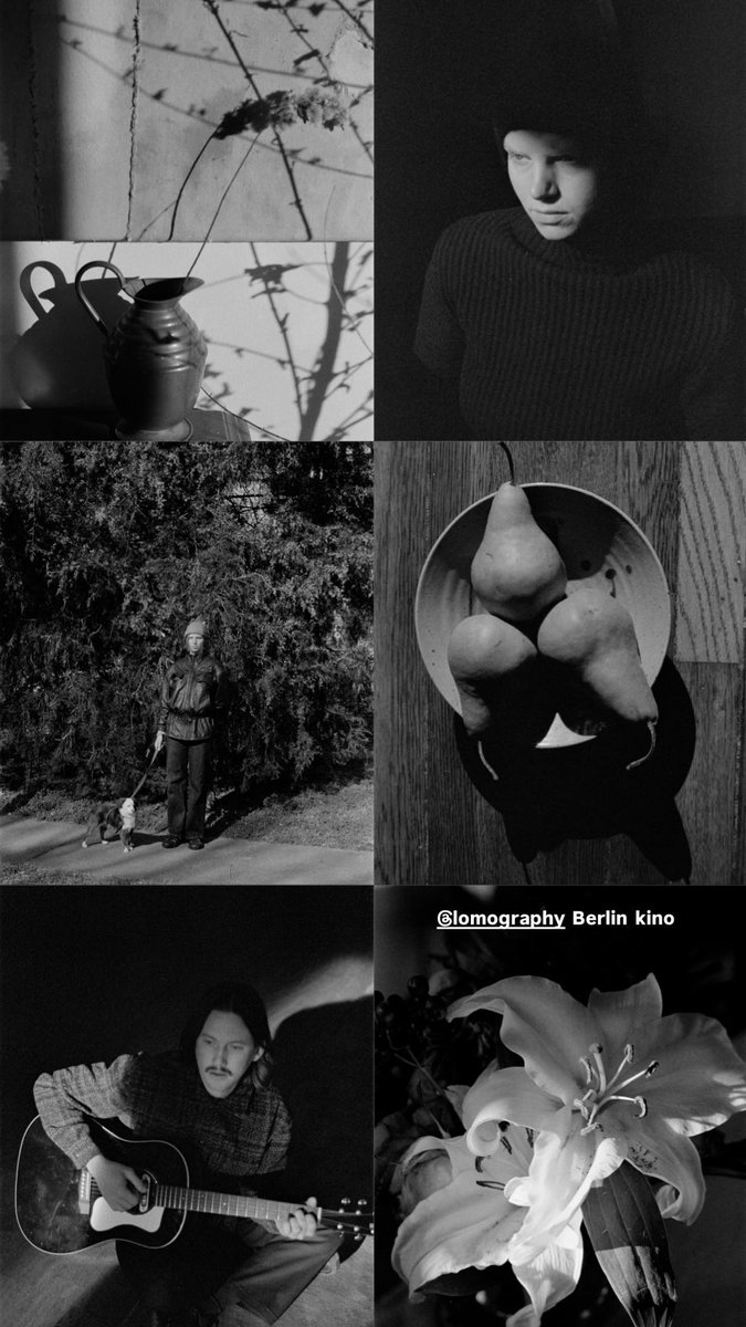 🧚 zac shares some photos of elke via instagram stories