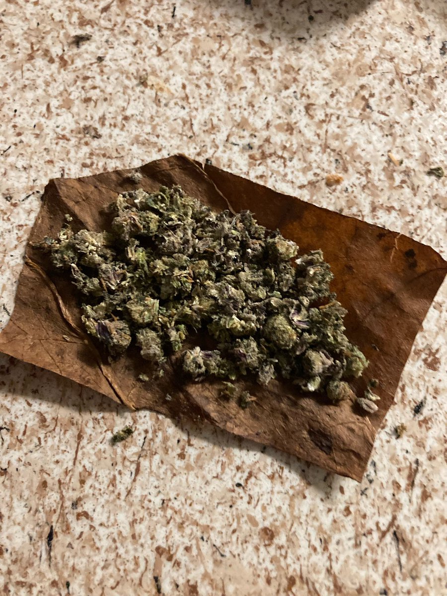 Big D Mel tweet media