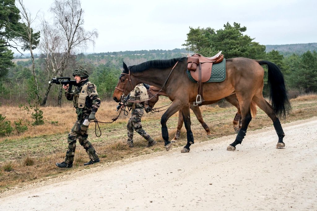 Tom_Antonov's tweet image. Joint exercice between a mounted unit of the Garde Républicaine and the French Army. via @armeedeTerre
