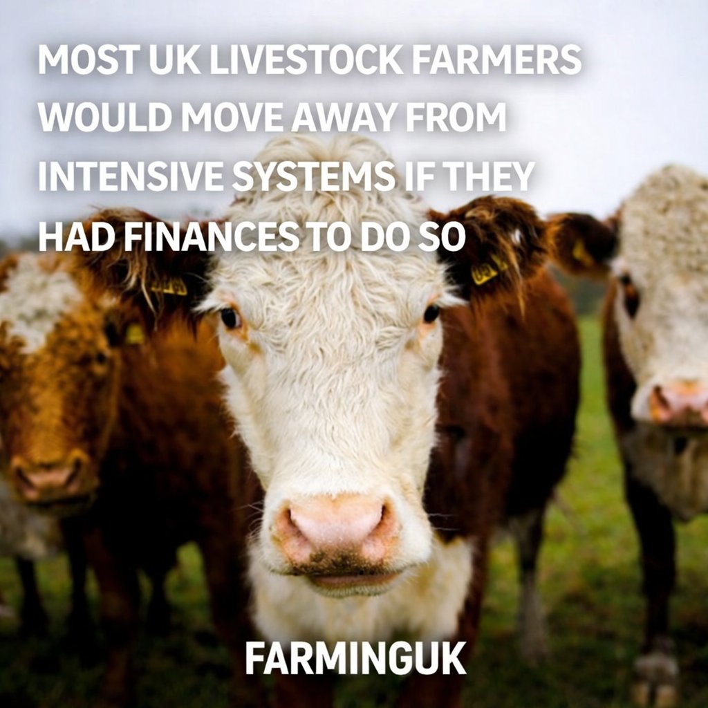 💥 Most UK livestock farmers say they would move away from intensive production systems if they had the financial backing to do so, but warn that a lack of support is preventing change on the ground

READ MORE: farminguk.com/news/farmers-b…