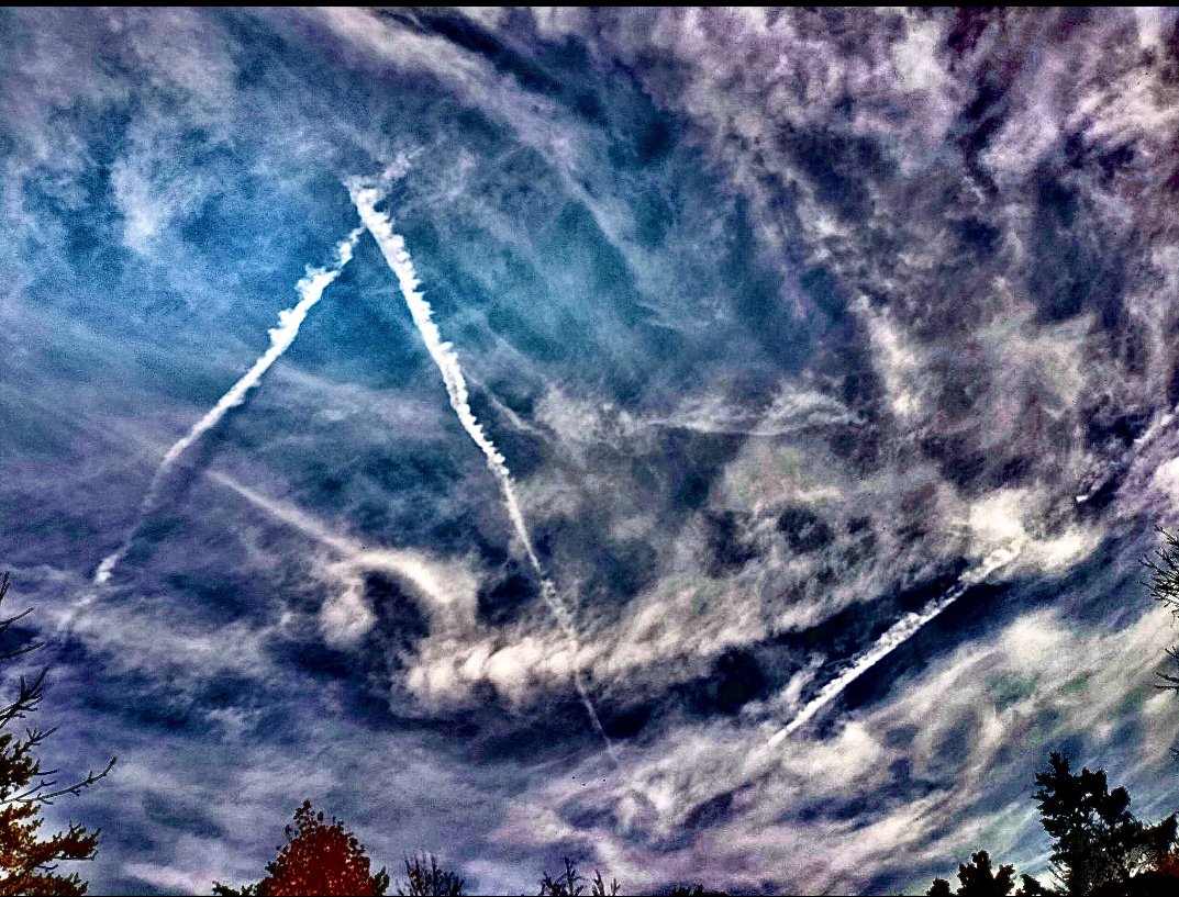 Dry Cleaning, Taylor Swift and more: April's best album reviews | Music |  The Guardian, image size:1073x817