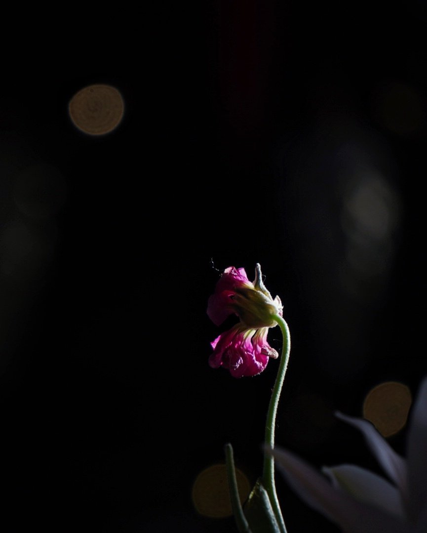 Marek Czartoryski (@markchortsnotes) on Twitter photo 