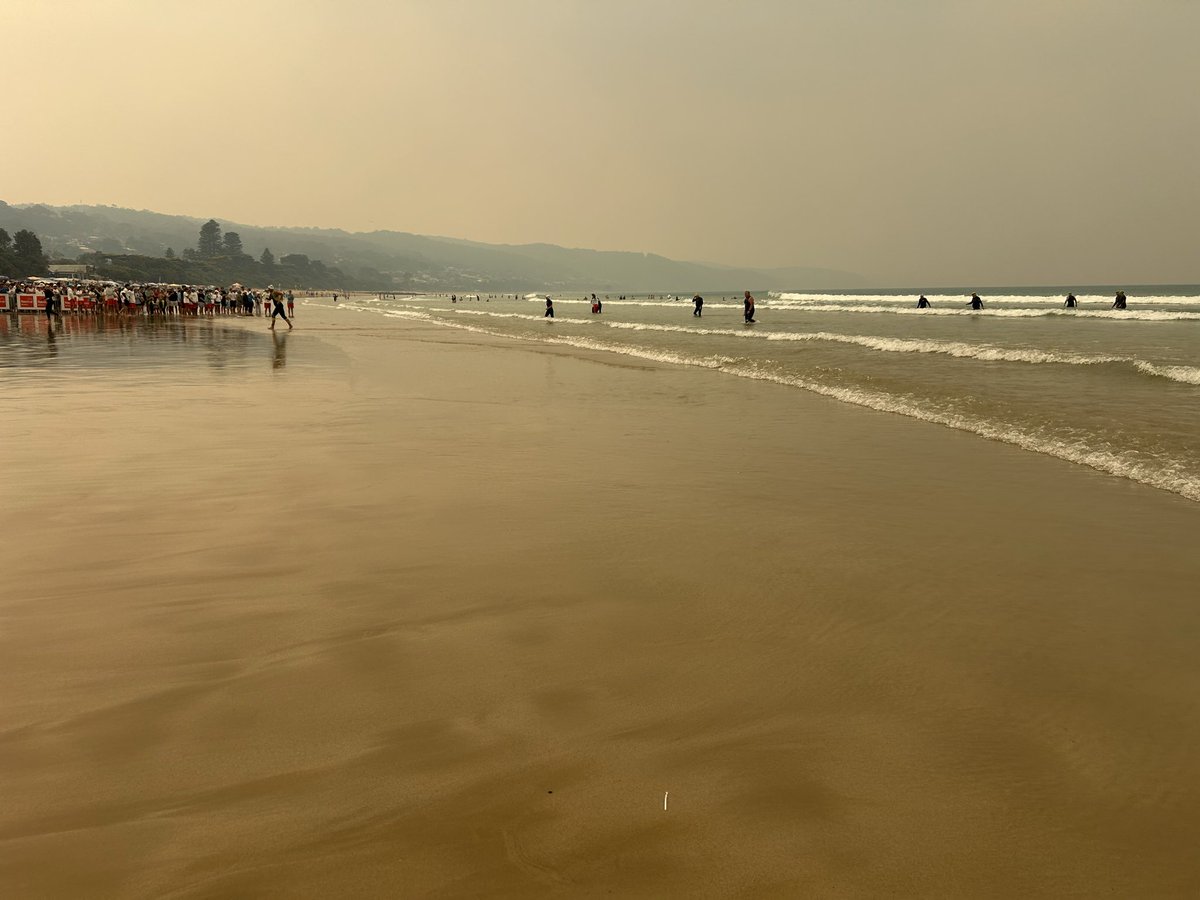 jess_marnich's tweet photo. Some photos from #Lorne #PierToPub 2026
Last photo is of 80yo+ gp finishing with eerie skies. #MOWSC had a 70yo+ swimmer & a number who were swimming in their first event.
Congrats all swimmers, supporters, officials & volunteers
#OceanSwimming
#OpenWaterSwimming
#RegionalVic https://t.co/L8H83dqNLa