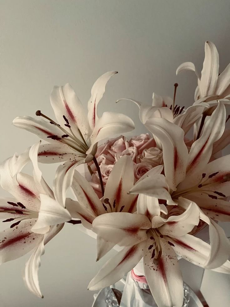 bikareads's tweet image. ⠀⠀⠀⠀⠀ ꢱ̸̴ː  leituras feitas em 2026 .ᐟ
⠀⠀⠀⠀⠀⠀⠀        — a thread