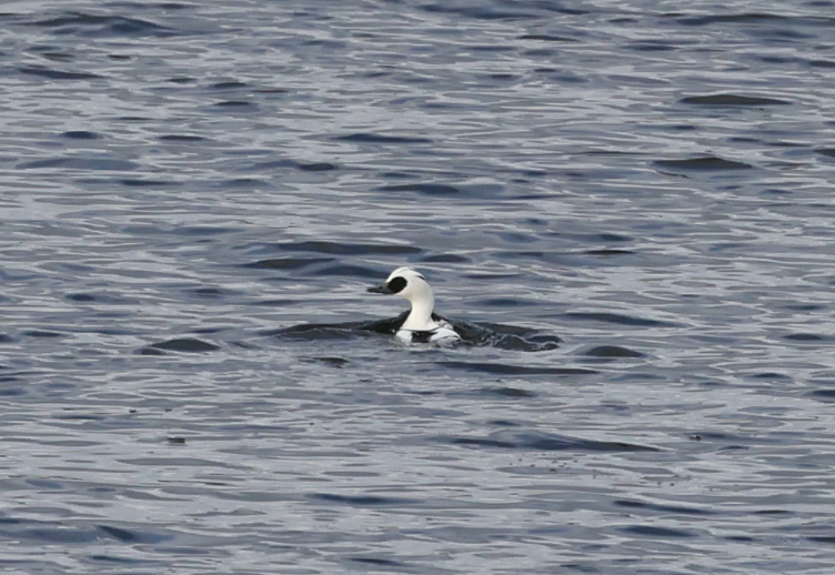 Matthew Deans tweet media