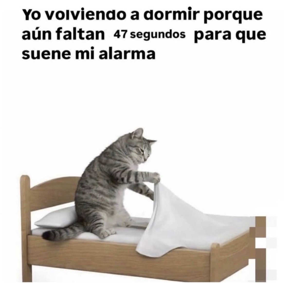 Memakker (@memakker) on Twitter photo 