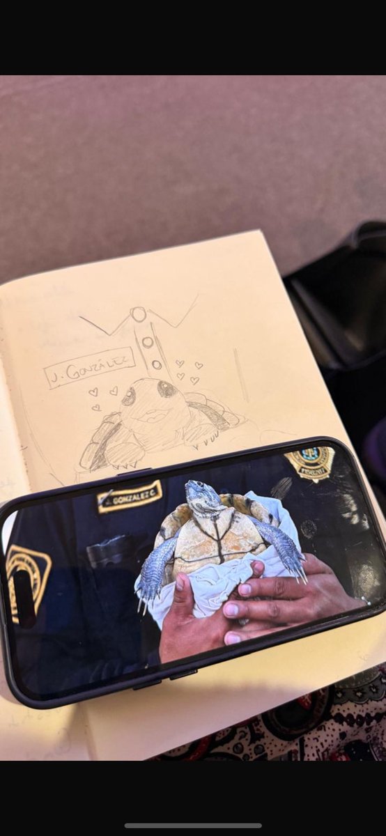 hellenhcastro's tweet image. Todas las vidas importan 🐢