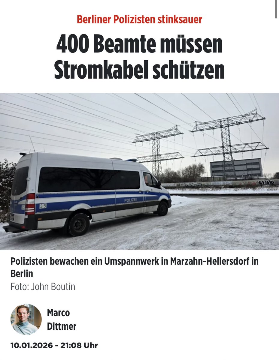 Grünfink tweet media