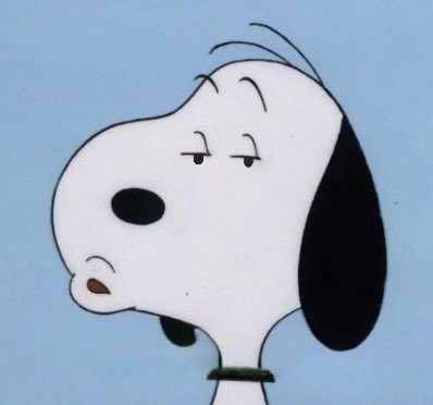 hudsnoopy's tweet image. 