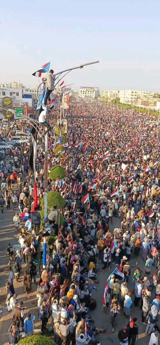 بـديـــل🌿𝐜𝐨𝐧𝐯𝐚𝐥𝐥𝐚𝐫𝐢𝐚🌿 tweet media