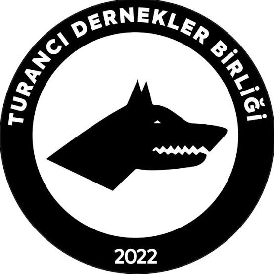 Türkçü Düşünce ve Kültür Derneği tweet media