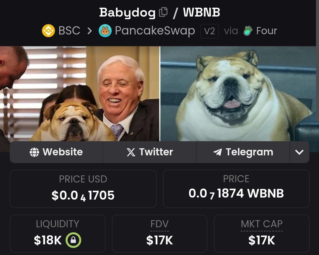 Here you go | $Babydog

Time to push it?
Get in now let's ride it 🚀🚀

CA: 0x536306bE42e2733423D628F653E127EEc53E4444

PS: NFA!