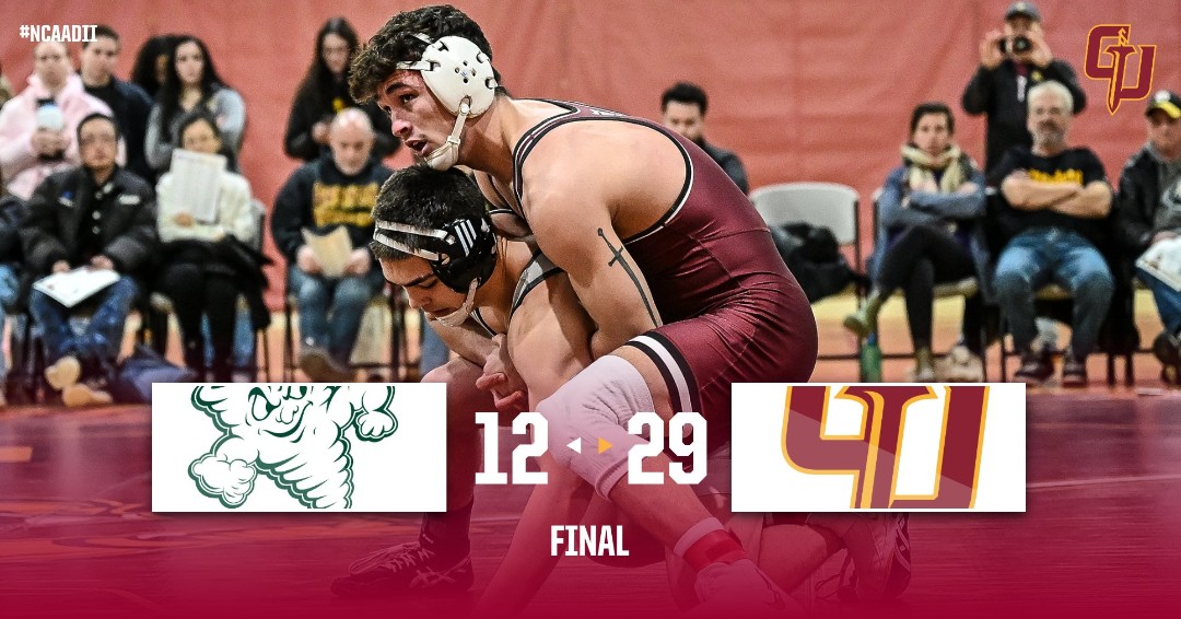 Gannon Athletics tweet media