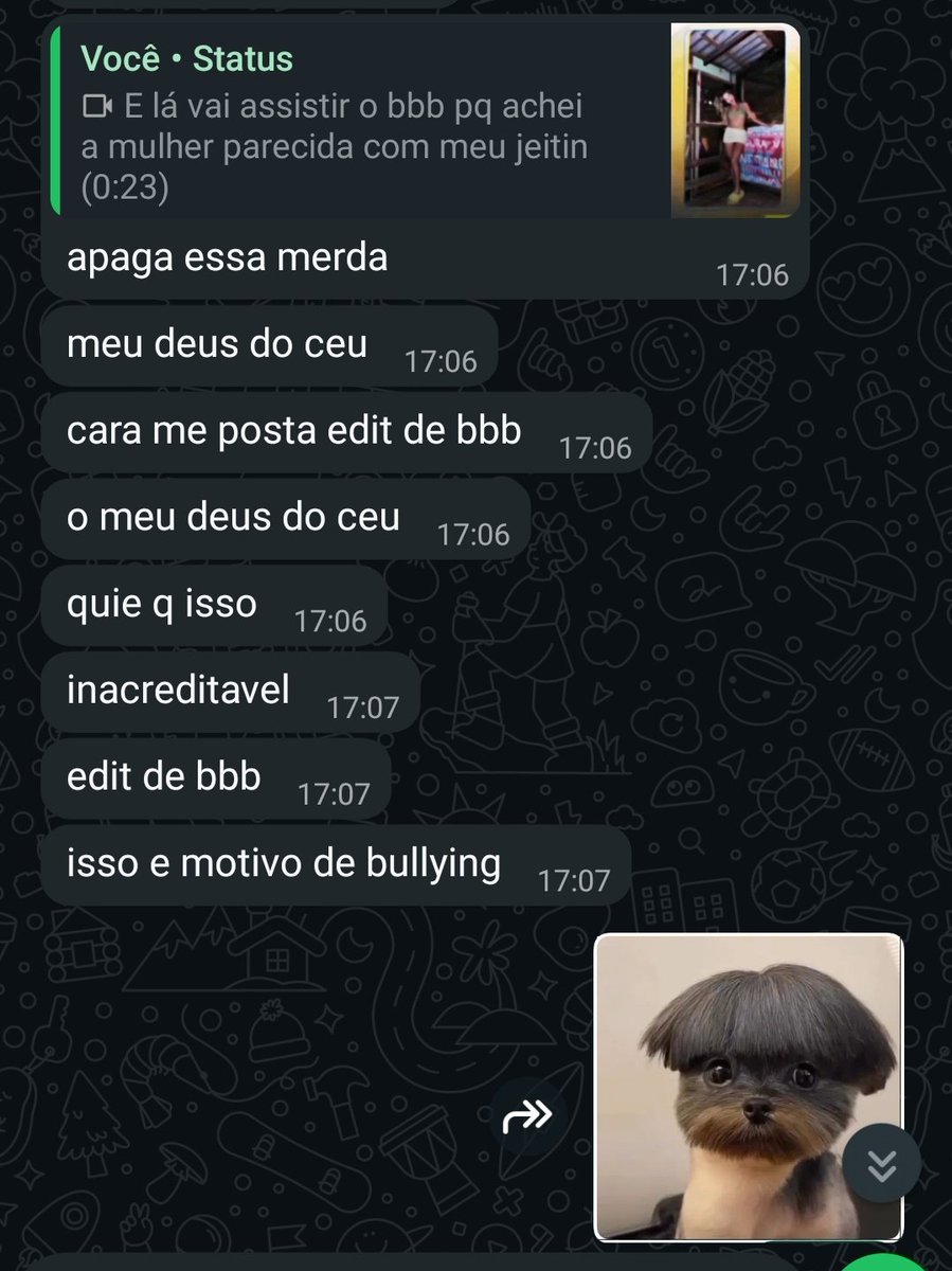 Pensei que estava segura no meu zap mas gente ela tem a mesma vibe energia que eu, uma diva mesmo